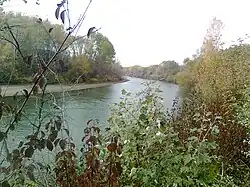 Le Pruth entre le județ de Botoșani (Moldavie occidentale, Roumanie) et le raion de Glodeni (république de Moldavie).