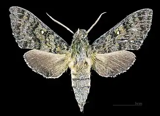 Description de cette image, également commentée ci-après