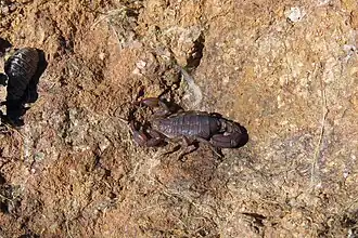 Description de cette image, également commentée ci-après