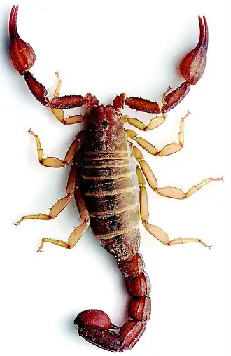 Description de cette image, également commentée ci-après