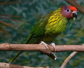 Description de cette image, également commentée ci-après