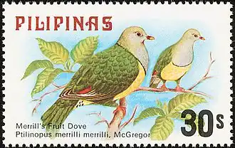 Description de l'image Ptilinopus merrilli 1979 stamp of the Philippines.jpg.