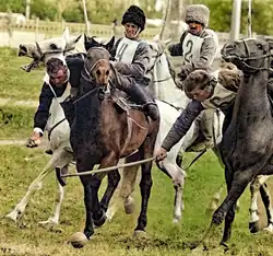 Groupe de cavaliers sur des chevaux de couleurs variées courant en tenant un maillet.
