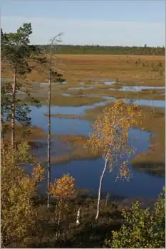 Pudasjärvi