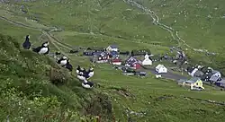 Groupe de Macareux moines sur un tertre, le village de Mykines en arrière-plan