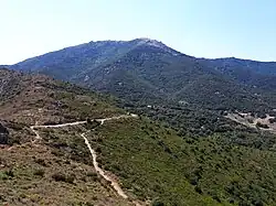 Côté est : le puig depuis le GR 10 au niveau du coll de Vallauria.
