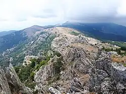 Côté ouest : le puig s'élève à peine au-dessus de la crête principale du massif des Albères, dont il constitue l'extrémité orientale.