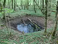 Grand trou d'eau en entonnoir recouvert de quelque troncs et branche d'arbres, en pleine forêt.