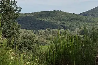 Image illustrative de l’article Puy de Tressous