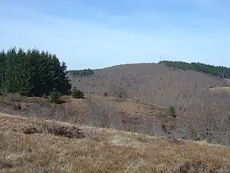 Le puy de la Monédière, point culminant du massif.