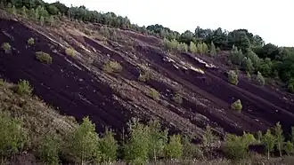 Le puy de la Nugère, flanc est (carrière de pouzzolane)