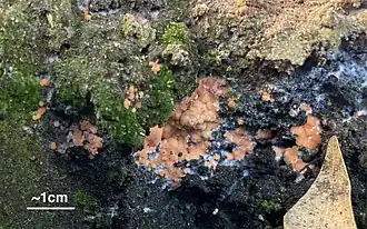 Description de cette image, également commentée ci-après