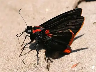 Description de cette image, également commentée ci-après