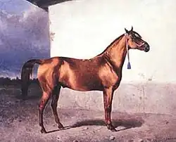 Peinture d'un cheval roux-doré vu de profil