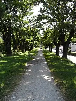 Quai du Drac (Quartier Pont du Vercors)