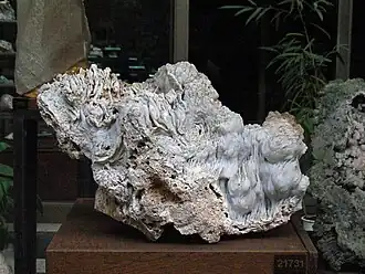 Image illustrative de l’article Calcédoine