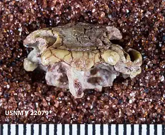 Description de cette image, également commentée ci-après