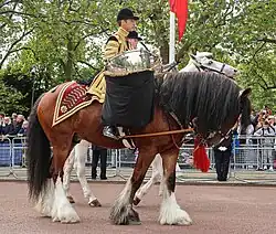 Cheval de tambour et trompettiste d'État.