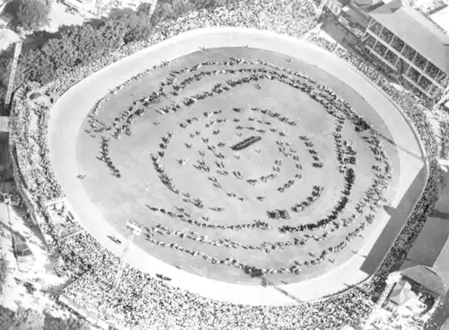 Vue aérienne de l'exposition du bétail à l'Ekka de 1958.