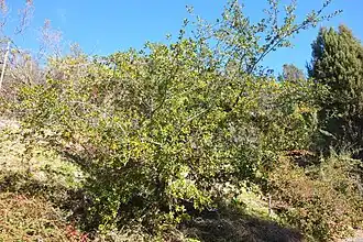 Description de cette image, également commentée ci-après