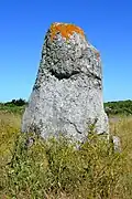 Menhir n°2.