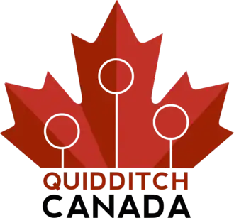 Image illustrative de l’article Quadball Canada