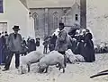 Le marché aux cochons de Quimperlé vers 1900