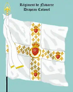 drapeau colonel de Navarre