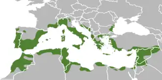 Description de l'image Répartition olivier méditerranée.png.