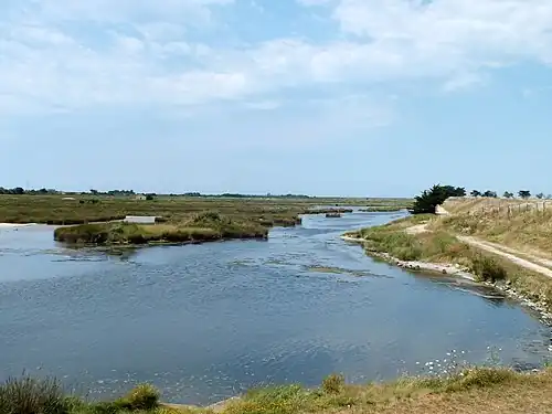 réserve naturelle du polder