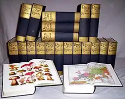 Description de l'image Révai nagy lexikona.jpg.