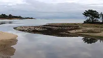 L'estuaire de la Saire.