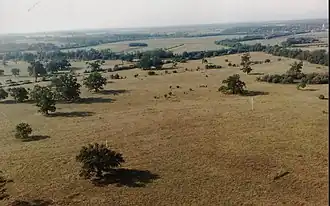 Étendue de steppe arborée