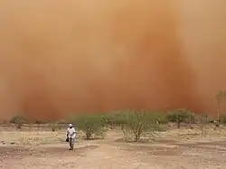 Tempête de sable à Rawa en août 2012