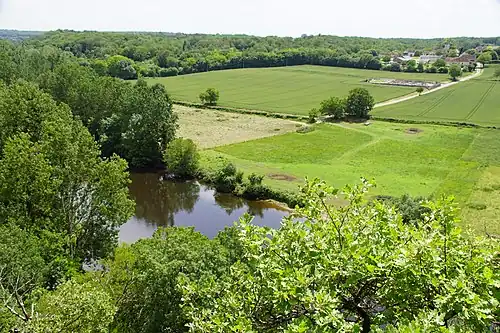 Forêt autour de Sauzelles
