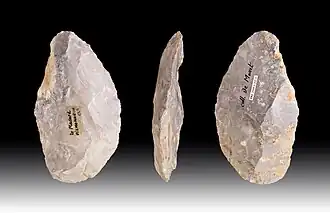 Racloir(Muséum de Toulouse).