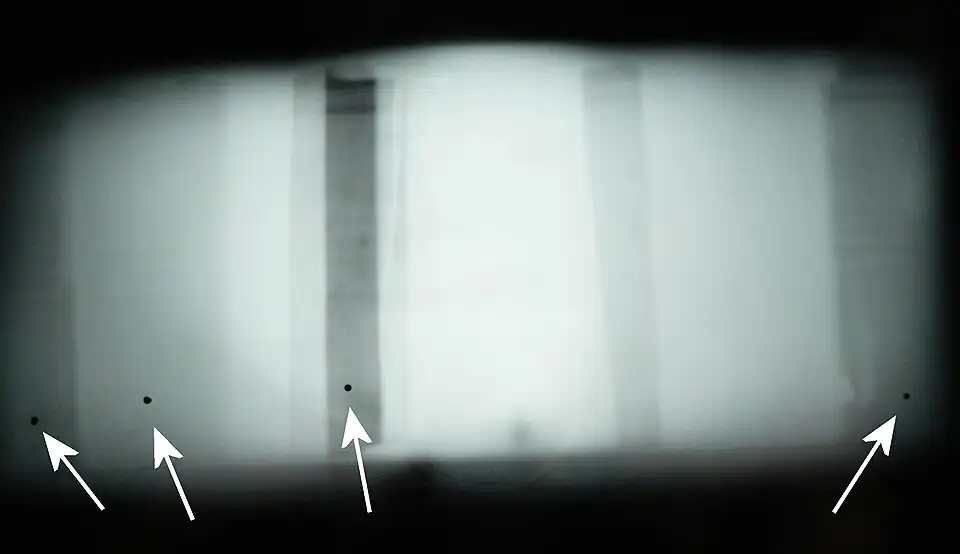 Radiographie sur chant ; les trous de passage dans les cloisons sont rehaussés en noir.