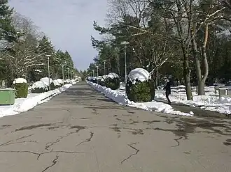 Cimetière  de Rahumäe.