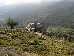 Un tor de granit sur une colline de la commune de Railleu.