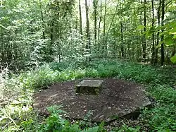 Le puits dans son environnement.