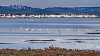 Image illustrative de l’article Étang de l'Ayrolle