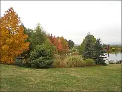 Paysage d'automne au Jardin du Bois-Marquis.