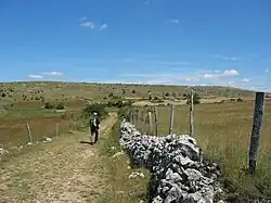L'enclos pastoral est associé à la caselle, cabane du berger construite à partir de clapas (tas d'épierrement des champs et des pâturages).