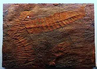 Description de cette image, également commentée ci-après