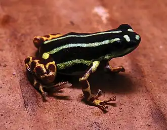 Description de cette image, également commentée ci-après