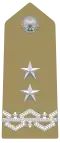 Insigne d'épaulette de général de division