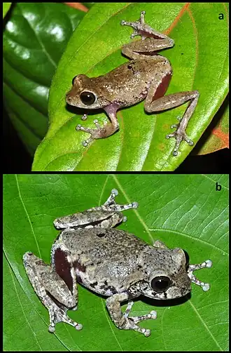 Description de cette image, également commentée ci-après