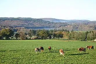 Guerlédan, dans le sud.