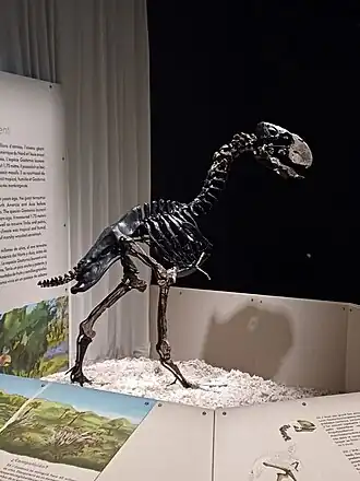 Description de cette image, également commentée ci-après