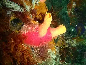 Description de cette image, également commentée ci-après